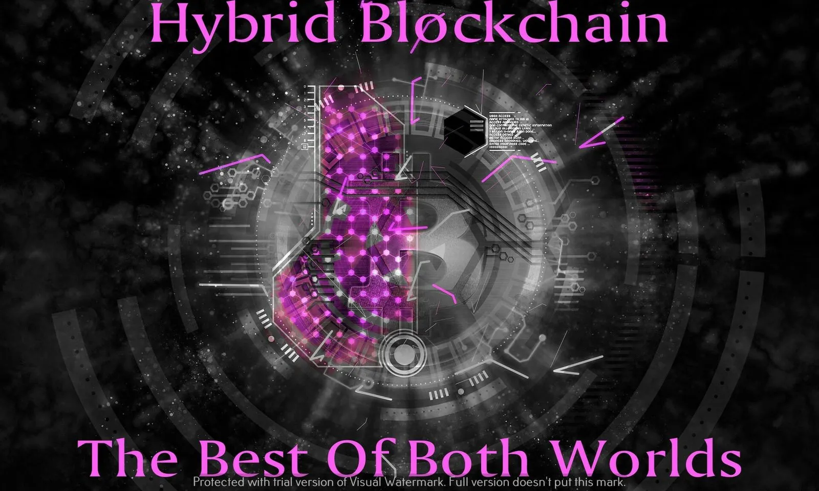 Hybrid Blockchain: The Best of Both Chains