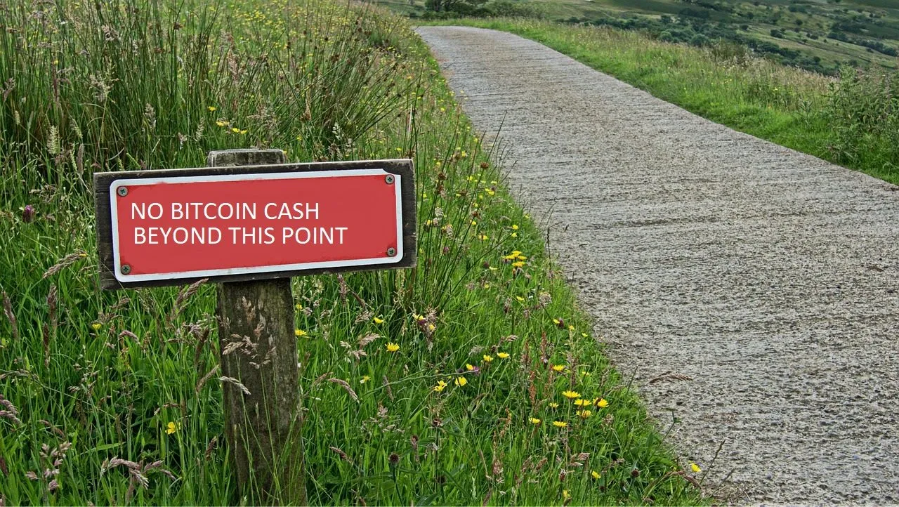 A Useful Chart Illustrating Crypto Exchanges Accepting Bitcoin Cash