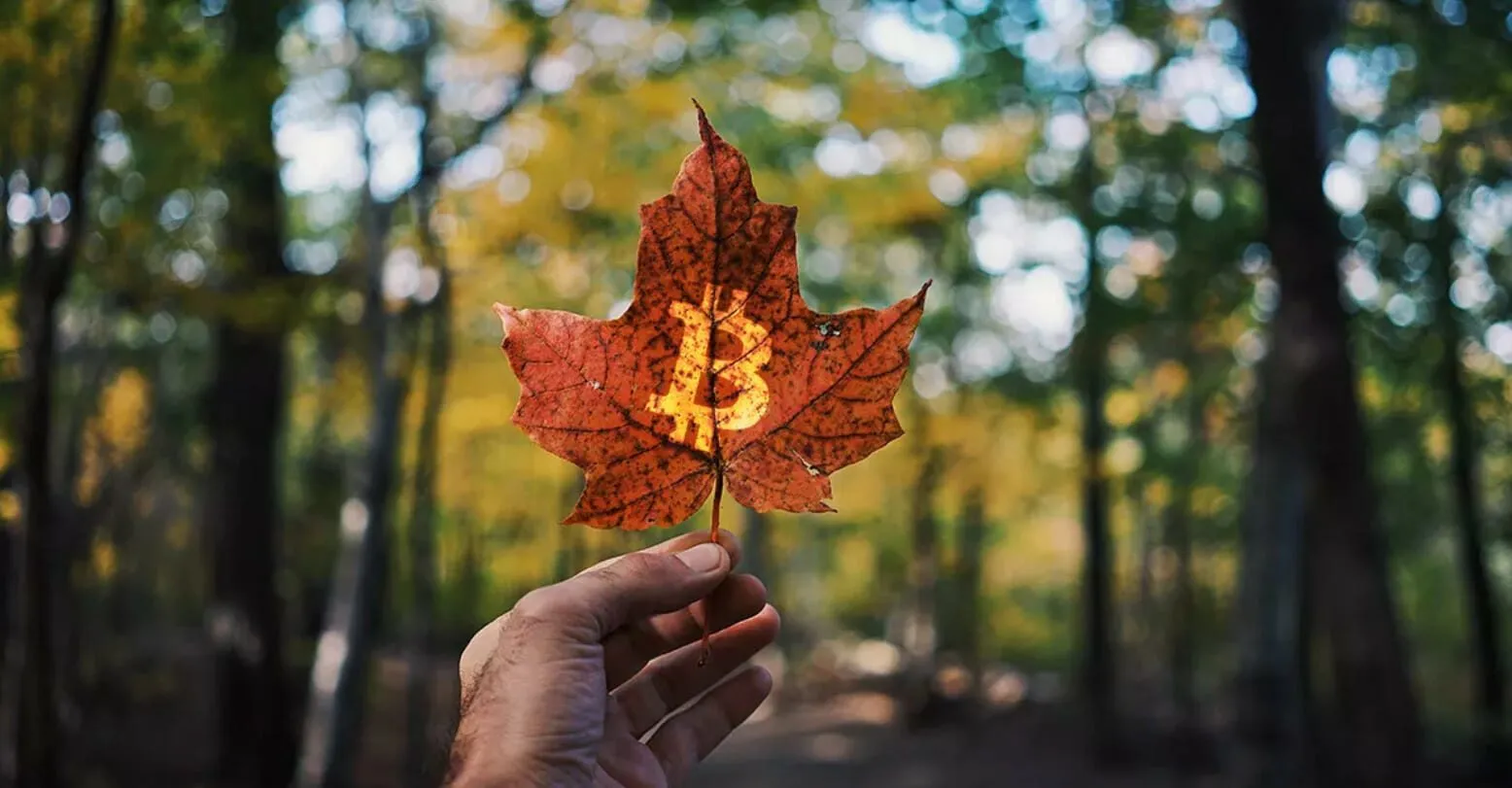 3iQ Expects to Launch Bitcoin ETF After “favorable” Ruling From Canada’s Top Securities Regulator
